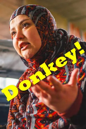 گاوِ کنKHی